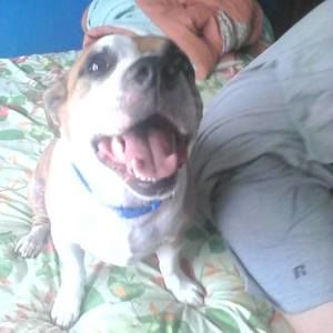 Meet your Posher, Cindy